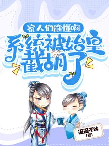 家人们谁懂啊,系统被始皇截胡了