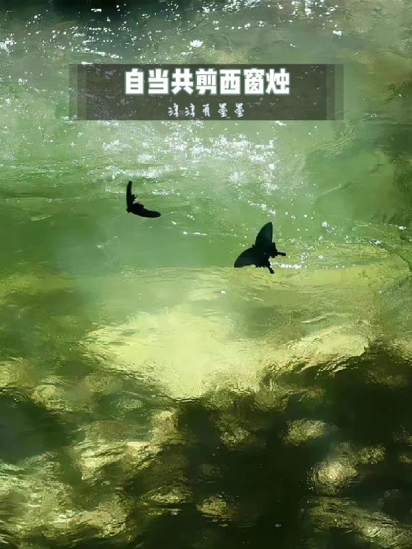 �Ե�����������