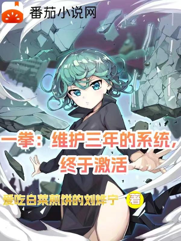 一拳:维护三年的系统,终于激活