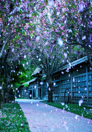 ���˷����������ⰸ��