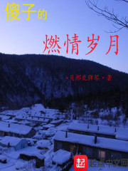 ɵ�ӵ�ȼ������