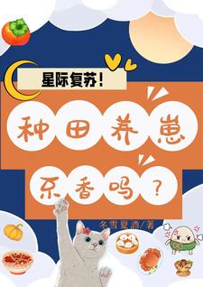 �Ǽʸ��գ��������̲�����